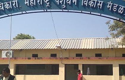 The headquarters of Maharashtra Livestock Development Board has been shifted from Akola to Nagpur | महाराष्ट्र पशुधन विकास मंडळाचे मुख्यालय अकोल्यातून नागपूरला स्थलांतरित