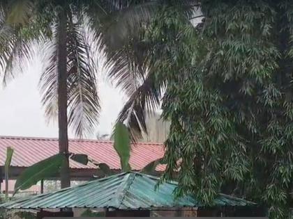 Rain Update Heavy rain in Ratnagiri since morning, scattered rain in Mumbai; Alert of heavy rain in the state for the next few days | Rain Update : रत्नागिरीत सकाळपासूनच जोरदार, मुंबईत तुरळक पाऊस; राज्यात पुढील काही दिवस मुसळधार पावसाचा अलर्ट Rain Update Heavy rain in Ratnagiri since morning, scattered rain in Mumbai; Alert of heavy rain in the state for the next few days | Rain Update : रत्नागिरीत सकाळपासूनच जोरदार, मुंबईत तुरळक पाऊस; राज्यात पुढील काही दिवस मुसळधार पावसाचा अलर्ट