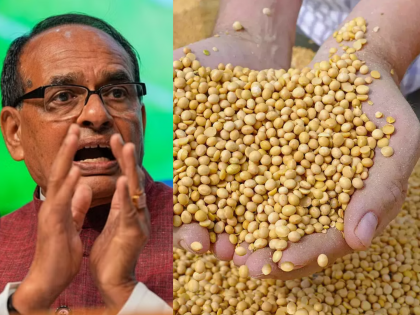 Guaranteed purchase of soybeans with 15 percent moisture; Order of Union Ministry of Agriculture | १५ टक्के ओलावा असलेल्या सोयाबीनची हमीभावाने खरेदी; केंद्रीय कृषी मंत्रालयाचा आदेश