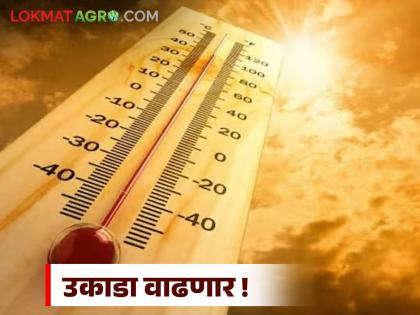 latest news Maharashtra Weather Update: Temperatures above 40 degrees; Read details of heat wave in these districts of the state | Maharashtra Weather Update : ४० अंशांच्या पार; राज्यातील 'या' जिल्ह्यांमध्ये उष्णतेची लाट वाचा सविस्तर latest news Maharashtra Weather Update: Temperatures above 40 degrees; Read details of heat wave in these districts of the state | Maharashtra Weather Update : ४० अंशांच्या पार; राज्यातील 'या' जिल्ह्यांमध्ये उष्णतेची लाट वाचा सविस्तर
