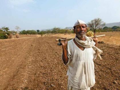 Three lakh farmers in Akola district get pardon of Agriculture Tax | अकोला जिल्ह्यात तीन लाख शेतकऱ्यांचा शेतसारा माफ!