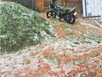 Nashik: Unseasonal, hailstorm, damage to sugarcane, onion crops along with vineyards | Nashik: अवकाळी, गारपिटीचा तडाखा, द्राक्षबागांसह ऊस, कांदा पिकांचे नुकसान