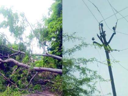 4 lakh loss of Mahavitran due to stormy wind in Sangli | Sangli: वादळी वाऱ्यामुळे ‘महावितरण’चे चार लाखांचे नुकसान; तारा तुटल्या, विद्युत खांब वाकले 