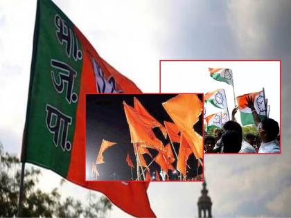 परभणीत भाजप सर्वात मोठा पक्ष, सत्तेसाठी युती आवश्यक.