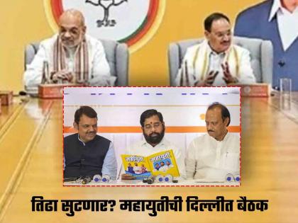 Mahayuti seat distribution will be the final? Shinde, Fadnavis, Pawar meeting with Amit Shah in Delhi | महायुतीचं जागावाटप होणार फायनल? शिंदे, फडणवीस, पवारांची दिल्लीत शाहांसोबत बैठक