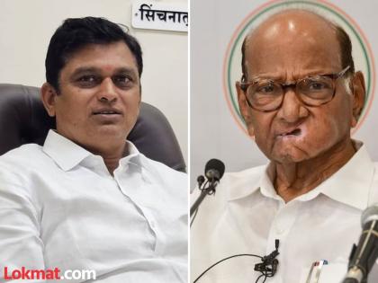 Shiv Sena MLA Shinde's statement about Sharad Pawar, 'There are so many crows on the 10th and 13th | 'दहावा, तेराव्याला असे अनेक कावळे फिरतात, ', शरद पवारांबद्दल शिवसेना आमदार शिंदेंचे विधान