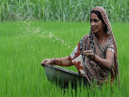 2022 will be celebrated as Women Farmers Honor Year said agriculture minister dada bhuse | २०२२ हे 'महिला शेतकरी सन्मान वर्ष' म्हणून साजरे केले जाणार- कृषी मंत्री दादा भुसे