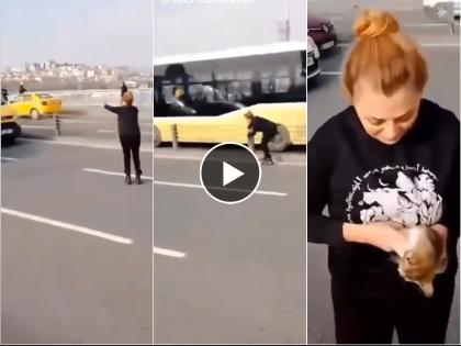 a viral video of a brave women saved tiny kitten stuck on busy highway in trurkey video goes viral on social media  | VIDEO : महिलेच्या धाडसाला सलाम! भर रस्त्यात उभी राहिली अन् केलं असं काही...