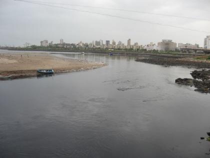 World Wetlands Day Special: Pollution is in danger due to water scarcity; Angry in environmentalists | जागतिक पाणथळ दिन विशेष: प्रदूषणाने पाणथळी धोक्यात; पर्यावरणवाद्यांमध्ये नाराजी