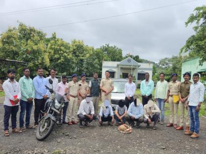 Forest Department team foils plan to sell scaly cats for Rs 30 lakh in Mahura, five smugglers arrested | माहूरात ३० लाखांत खवले मांजर विक्रीचा प्लान वनविभागाने उधळला, पाच तस्कर ताब्यात Forest Department team foils plan to sell scaly cats for Rs 30 lakh in Mahura, five smugglers arrested | माहूरात ३० लाखांत खवले मांजर विक्रीचा प्लान वनविभागाने उधळला, पाच तस्कर ताब्यात