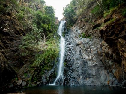 open 14 waterfalls an ordinance of the forest department | चला, १४ धबधबे खुले! वनखात्याचा आदेश; कर्मचारीही तैनात