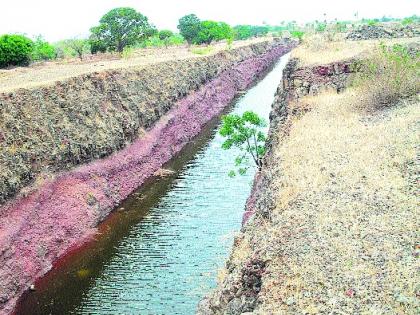 Where's the water for Mhaysal's planning? The issue of the establishment of water use agencies | ‘म्हैसाळ’च्या नियोजनाचे पाणी मुरतेय कोठे? पाणी वापर संस्थांची उभारणी कळीचा मुद्दा