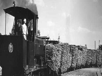 Sugarcane factory by rail | रेल्वेने ऊस वाहणारा कारखानदार 