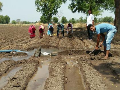  The coal got released, the sacrificers got up | कोयलने दिली साद, उठ बळीराजा कामाला लाग