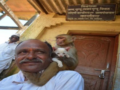 The cat took care of; Feminine friendship with men and hostile to women | मांजरीचा माकडिणीला लागला लळा; पुरूषांसोबत जडली मैत्री तर महिलांशी वैर