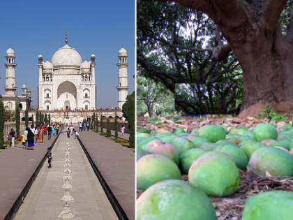 picked up a mango that had fallen under a tree; A tourist was kicked and beaten in the Bibi-Ka-Makbara area | झाडाखाली पडलेला आंबा उचलला म्हणून पर्यटकाला बेदम मारहाण; बीबी-का-मकबऱ्यातील प्रकार