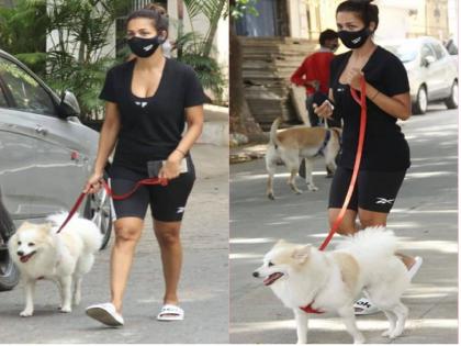 malaika arora got trolled on social media due to walking with pet on road during lockdown | लॉकडाऊनमध्ये आपल्या कुत्र्यासोबत रस्त्यावर फिरली ही अभिनेत्री, सोशल मीडियावर झाली ट्रोल