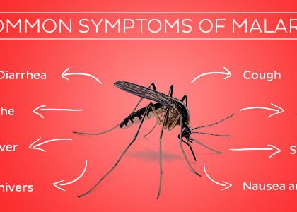 Destroy mosquitoes in origin; appeal of Shamika Mahadik, Sarjevrao Patil Peridkar | डासांची उत्पत्तिस्थाने नष्ट करा, शौमिका महाडिक, सर्जेराव पाटील पेरीडकर यांचे आवाहन