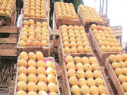 'Malawi' mangoes in Mumbai, taste good in winter; 3 to 5 thousand rupees per box | ‘मलावी’चा आंबा मुंबईत, हिवाळ्यात चाखा चव; प्रतिबॉक्स ३ ते ५ हजार रुपये दर