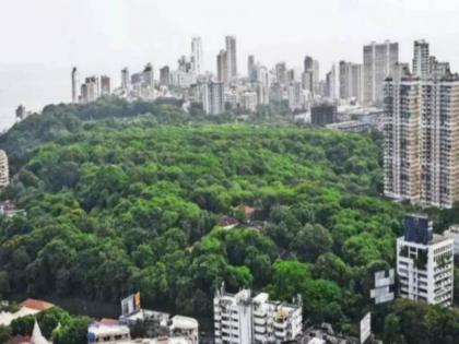 bmc seeks in mumbai to iit help reconstruction of malabar hill roorkee organization will conduct restudy | ‘मलबार हिल’च्या मदतीला आयआयटी; रूरकी संस्था करणार पुनर्बांधणी संदर्भात पुन्हा अभ्यास 