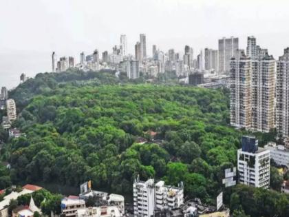 malabar hill reservoir does not need major repairs statement of 4 experts panel | मलबार हिल जलाशयाला मोठ्या दुरुस्तीची गरज नाही; ४ तज्ज्ञांचा निर्वाळा 