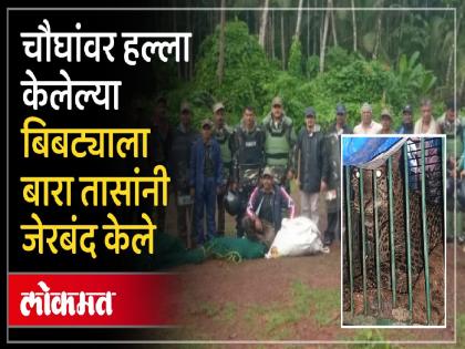 The forest department has captured a leopard that attacked four villagers in Malewad Kondure Deulwadi | Sindhudurg: चौघांवर हल्ला करुन बिबट्या दडी मारून बसला, वनविभागाने जेरबंद करताच ग्रामस्थांनी सुटकेचा नि:श्वास सोडला The forest department has captured a leopard that attacked four villagers in Malewad Kondure Deulwadi | Sindhudurg: चौघांवर हल्ला करुन बिबट्या दडी मारून बसला, वनविभागाने जेरबंद करताच ग्रामस्थांनी सुटकेचा नि:श्वास सोडला