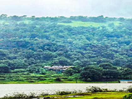 pune news Rehabilitation of 23 dangerous villages in the district has become difficult | जिल्ह्यामधील २३ धोकादायक गावांचे पुनर्वसन होणे झाले अवघड pune news Rehabilitation of 23 dangerous villages in the district has become difficult | जिल्ह्यामधील २३ धोकादायक गावांचे पुनर्वसन होणे झाले अवघड