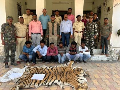 Tiger hunting in Telangana; Skin smuggling in Maharashtra | तेलंगणात वाघाची शिकार; कातडीची तस्करी महाराष्ट्रात