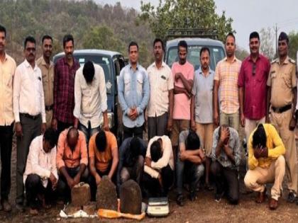 25 crore worth of whale vomit seized, 9 suspects detained in Malvan Sindhudurga | व्हेल उलटीच्या तस्करी प्रकरणी सांगलीतील एकासह नऊ जणांवर गुन्हे दाखल