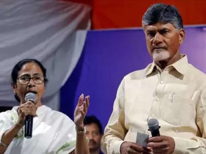  Chandrababu-Mamta Banerjee discussions about the Mahaaaghadi | चंद्राबाबू-ममता बॅनर्जींमध्ये महाआघाडीबाबत चर्चा