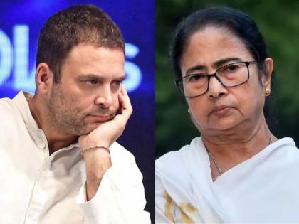 Kolkata Doctor Case bjp demands Mamata Banerjee resignation polygraph test and arrest | Kolkata Doctor Case : ममता बॅनर्जींच्या राजीनाम्याची मागणी, पॉलीग्राफ टेस्ट आणि अटक; भाजपाचा घणाघात