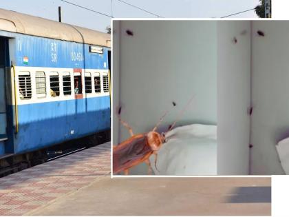 man complains of cockroaches on delhi tirupati express train indian railways responds | दिल्ली-तिरुपती एक्स्प्रेसच्या एसी कोचमध्ये झुरळांचा धुमाकूळ; फोटो शेअर करत प्रवाशाने केली तक्रार, रेल्वेचे उत्तर