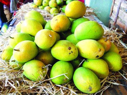  Nine thousand people of five dozen hapus boxes, mangoes in Navi Mumbai APMC | पाच डझनची हापूसची पहिली पेटी नऊ हजारांना, नवी मुंबई एपीएमसीत आंबा दाखल