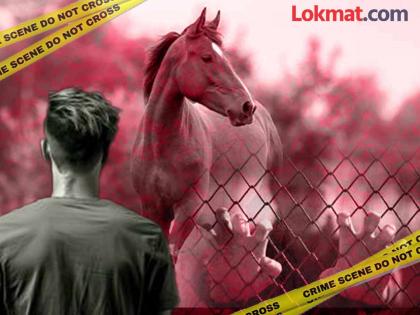 In Nagpur, a lustful man crossed the line of perversion, committed an unnatural act with a horse | नागपुरात वासनांधाने ओलांडली विकृतीची सीमा, घोड्यासोबत अनैसर्गिक कृत्य In Nagpur, a lustful man crossed the line of perversion, committed an unnatural act with a horse | नागपुरात वासनांधाने ओलांडली विकृतीची सीमा, घोड्यासोबत अनैसर्गिक कृत्य