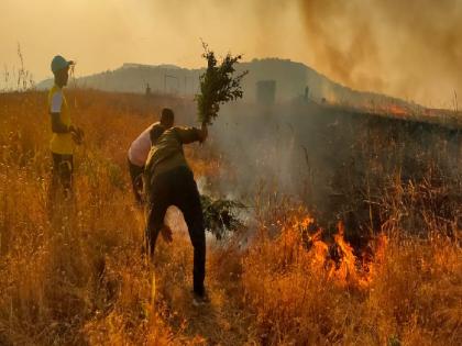 Wildfires in the hills of Mandhardeo, Pirachiwadi limits, loss of forest resources | मांढरदेव, पिराचीवाडी हद्दीतील डोंगरात वणवा, वनसंपदेचे नुकसान; ॲथलेटिक्सच्या खेळाडूंनी विझवली आग