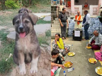 Himachal Flood cloud burst mandi dog saved the lives of 67 people siyathi village | देव तारी त्याला कोण मारी! हिमाचलमधील पुरात एका कुत्र्याने 'असा' वाचवला ६७ लोकांचा जीव Himachal Flood cloud burst mandi dog saved the lives of 67 people siyathi village | देव तारी त्याला कोण मारी! हिमाचलमधील पुरात एका कुत्र्याने 'असा' वाचवला ६७ लोकांचा जीव