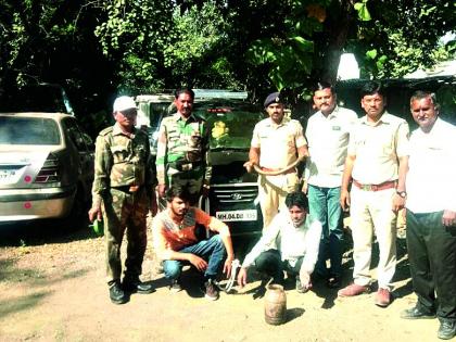 The arrest of the snoop snakes | मांडूळ साप बाळगणार्‍यांना अटक