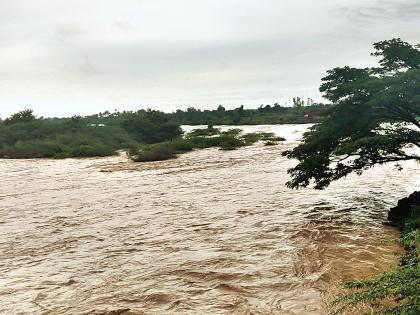 Strong rainfall throughout the state | राज्यात सर्वत्र दमदार पाऊस