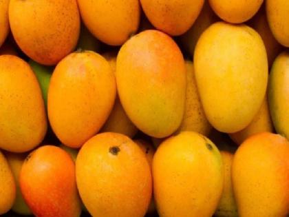 The Russia-Ukraine and Palestine-Israel wars affected Hapu's mango exports | युद्धामुळे हापूसला झटका, निर्यातीला मोठा फटका; चाच्यांच्या प्रभावामुळे समुद्री वाहतुकीला लागला ब्रेक