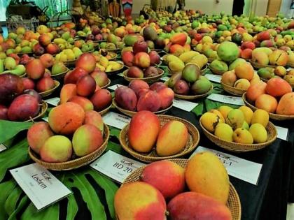 mango festival from 1st April through krishi panan mandal gultekadi market yard pune | १ एप्रिलपासून गुलटेकडी मार्केटयार्डात ‘आंबा महोत्सव’; कोकणातील हापूस आंबा उत्पादक होणार सहभागी