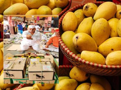 Raigad Mango: Raigad Mango Rs 2,500 per dozen, arrival at APMC; Gourmands rejoice | Raigad Mango: रायगडचा आंबा २,५०० रुपये डझन, एपीएमसीत आगमन; खवय्यांना झाला आनंद