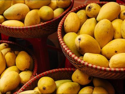 This Fruit Is Known As The Queen Of Fruits | फळांचा राजा आंबा आहे तर माहीत असेलच मग फळांची राणी कोण? जाणून घ्या उत्तर...