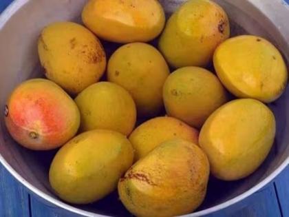 Mango Benefits Is it necessary to soak mangoes in water before eating correct method before eat heat india | Mango Benefits : आंबे खाण्यापूर्वी पाण्यात बुडवून ठेवणं आवश्यक आहे का? ही आहे खाण्याची योग्य पद्धत