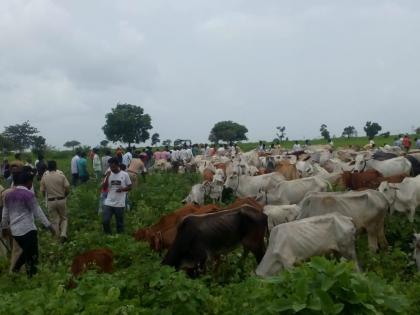 Four encroachers consume poision during encroachment eradication campaign. | अतिक्रमण निर्मुलन मोहीमेदरम्यान चार अतिक्रमकांनी घेतला विषाचा घोट!