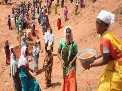  In MGNREGA, only 9.87 per cent employment is available to SC families in Maharashtra | मनरेगात महाराष्ट्रात एससी कुटुंबांना फक्त ९.८७ टक्के रोजगार