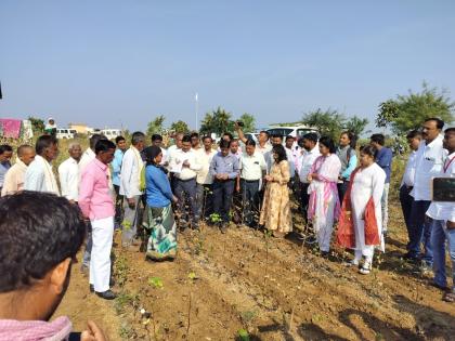 The central team made a tour of Mantha taluka, inspected crops in four villages | केंद्रीय पथकाचा मंठा तालुक्यात धावता दौरा, चार गावांतील पिकांची केली पाहणी