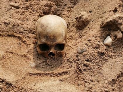 Human skeletons found behind bones in Shelkewadi | शेळकेवाडीत हाडांपाठोपाठ सापडली मानवी कवठी, वाशीच्या बेपत्ता महिलेबाबत वाढले गूढ