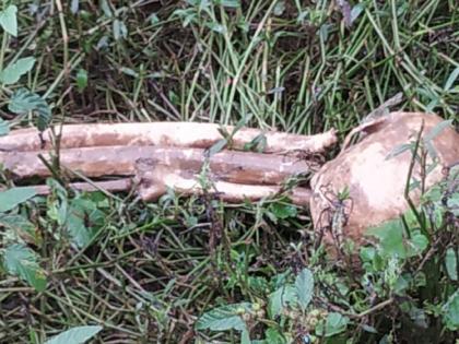 Human skulls, bones found at Kudal-Kelbaiwadi; Will send to Pune for inspection | कुडाळ-केळबाईवाडी येथे सापडली मानवी कवटी, हाडे; तपासणीसाठी पुण्याला पाठवणार 