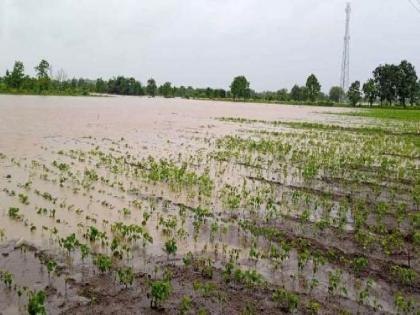 Good news for heavy rain victims in the district; 345.99 Crore proposal from the government has given its stamp of approval | जिल्ह्यातील अतिवृष्टीग्रस्तांसाठी शुभवार्ता; ३४५.९९ कोटींच्या प्रस्तावावर शासनाकडून मंजुरीची मोहर