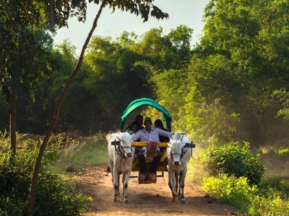 When farmers came to listen to poetry in a bullock cart... | शेतकरी बैलगाडीतून कविता ऐकायला आले तेव्हा... When farmers came to listen to poetry in a bullock cart... | शेतकरी बैलगाडीतून कविता ऐकायला आले तेव्हा...